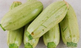 临沂吃生瓜网红叫什么,挑战味蕾极限！